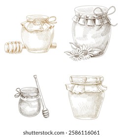 
jar of honey vector set draw