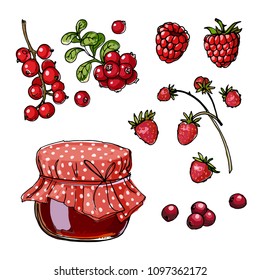 A jar of jam from red berries. Jam made of raspberry. Berries. Strawberries, raspberries, cranberries. Vector sketch of meal line