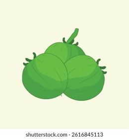 Jarak Fruit Flat Design Cartoon Icon Illustration