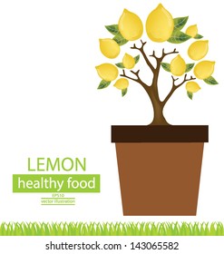 Jardiniere. lemons tree. vector illustration.