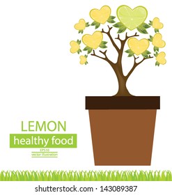Jardiniere. lemons tree. vector illustration.