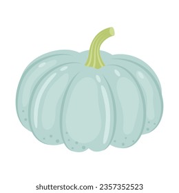 Jarrahdale pumpkin whole vegetable isolated on white background. Cucurbita maxima. Winter Squash. Australian heirloom pumpkin icon. Vector illustration of vegetables in flat style.