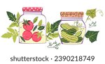 Jars of preserved pickled homemade vegetables, flat vector illustration isolated on white background. Pickled cucumbers and tomatoes canned food in glass. Grocery banner or textile print.