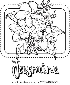 jasmine Artline Flower Illustration For Kids Coloring Book