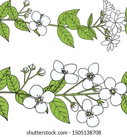 Jasmine branch with flowers, buds and leaves. Seamless border. Hand-drawn vector illustration in sketch style.