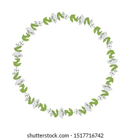 Jasmine branch with flowers, buds and leaves. Floral wreath. Hand-drawn vector illustration in sketch style.