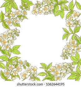jasmine branch vector frame