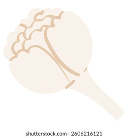jasmine bud open side view handrawn flat style illustration