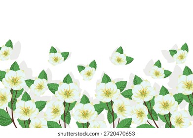 Jasmim botões flores banner.Vetor close-up.