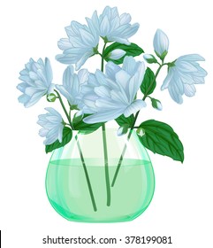 Jasmine chubushnik in vase isolated on white background, vector