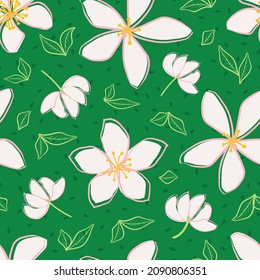 Vector floral de jazmín fondo de patrón sin fisuras. Cabezas de flores dibujadas a mano en línea, flor, hojas, pétalos. Fondo blanco verde. Repetición botánica para planta de curación medicinal. Todos los tipos de impresión