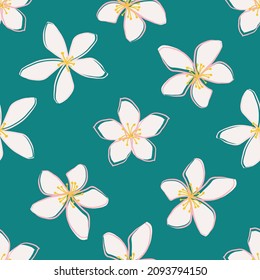 Jasmine floral vector seamless pattern background. Line art hand drawn flower heads, blossom, leaves, petals. Teal white backdrop. Botanical repeat for medicinal healing plant. All over print