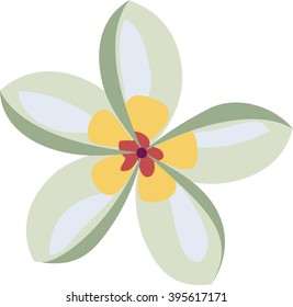 Jasmine flower