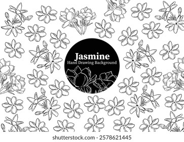 Jasmine flower black ink hand drawn background. black and white image design vector, line art, ornament design, aesthetic, beauty