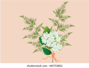 jasmine flower bouquet  with white jasmine and two kind of ferns ,hand drawn vector illustration