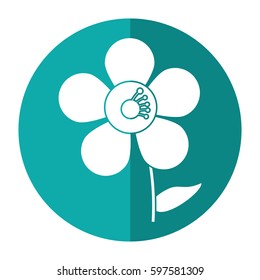 jasmine flower decoration image shadow