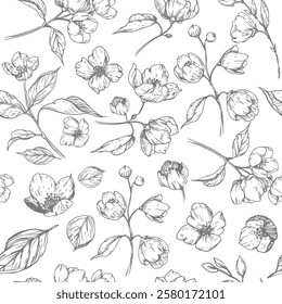 Jasmine flower, floral seamless pattern, hand drawn, vector