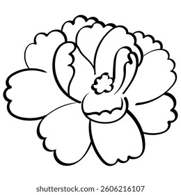 jasmine flower fully bloomed handrawn outline style illustration