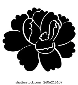 jasmine flower fully bloomed handrawn solid style illustration