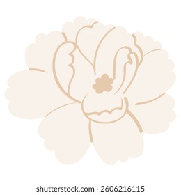 jasmine flower fully bloomed handrawn flat style illustration