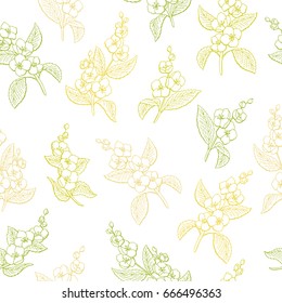 Jasmine flower graphic color seamless pattern sketch illustration vector