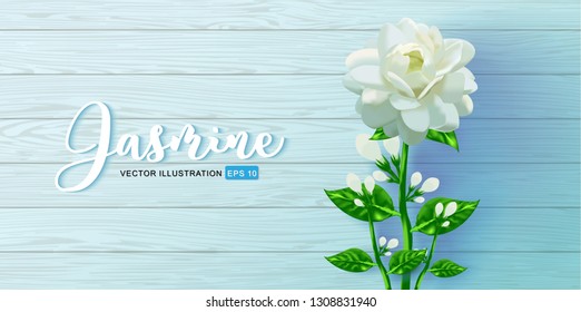 Jasmine flower with green leaves, sketch style vector illustration isolated on Wooden floor, Happy Mother's Day.