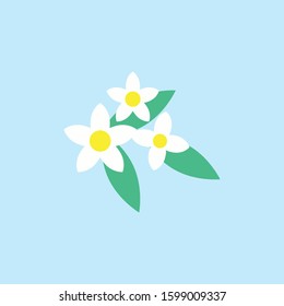 Jasmine flower icon design template vector isolated