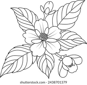 Jasmine Flower Illustration 
Coloring Page
