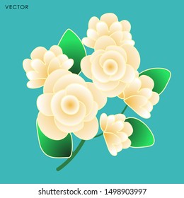 Jasmine flower isolate, Vector illustration design element