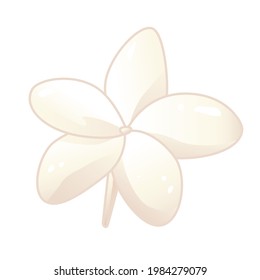 Jasmine flower isolated on white background. Vector illustration of ornamental flowers.