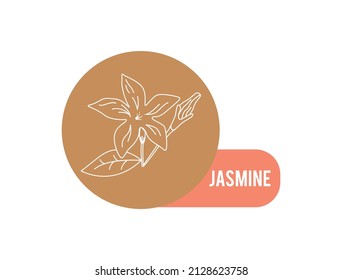 Jasmine Flower Line Art, Fragrance Icon Vector Illustration