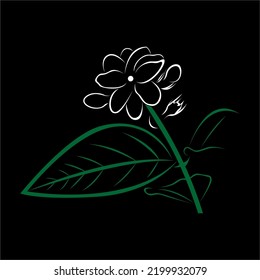 Jasmine Flower Line Art Picture