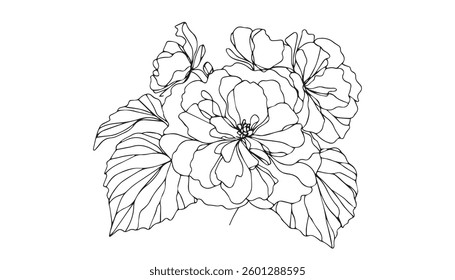 jasmine flower line art silhouette vector illustration