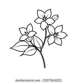 Ilustración vectorial de arte de línea de flor de jazmín