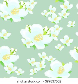 jasmine flower on blue. seamless vector illustration