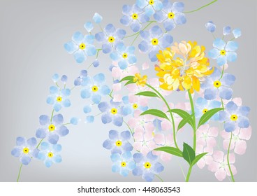 jasmine flower on gray background .isolated picture for object or background