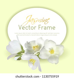 Jasmine flower oval vector frame illustration, mock orange plant branch. Realistic bush twig with buds, white petals, yellow pollen on stamens. Isolated inflorescence round border cart template