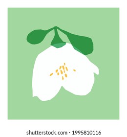 Jasmine flower paper cut vector illustration. Simple flat flower element. Minimalist plant card