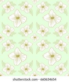 Jasmine flower pattern on green vector