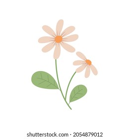 bedruckbarer Dekor für Jasminblume, Vektorgrafik-Design eps.10