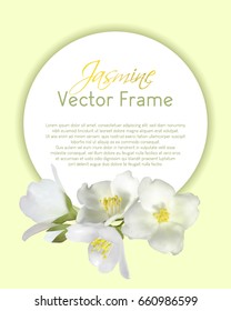 Jasmine flower round vector frame illustration, mock orange plant branch. Realistic bush twig with buds, white petals, yellow pollen on stamens. Isolated inflorescence circle border cart template.