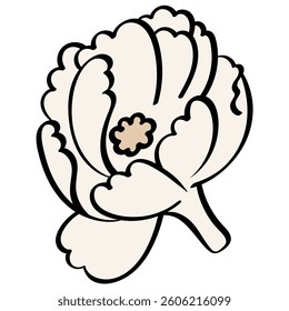 jasmine flower with stem handrawn line and color style illustration