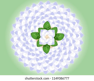 jasmine flower style vector