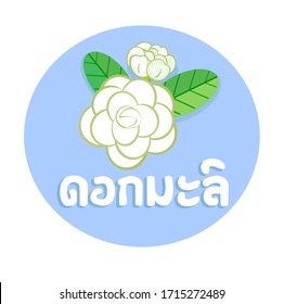 Jasmine Flower in Thai Language it mean “Jasmine Flower” Vector