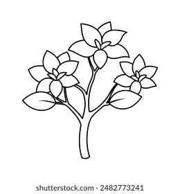 Jasmine flower tree vector line art illustration