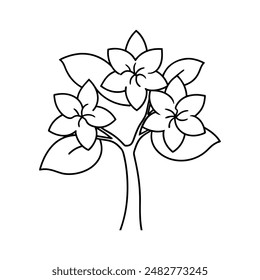 Jasmine flower tree vector line art illustration