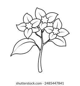 Jasmine flower tree vector line art illustration