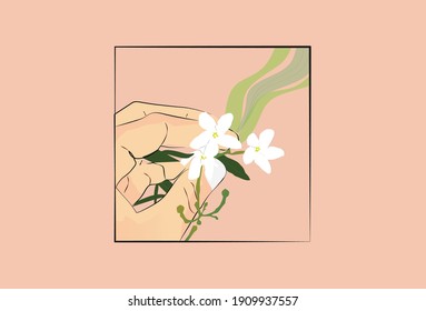 Jasmine flower vector in hand