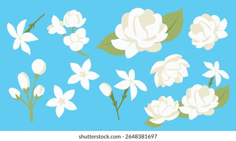 Jasmine Flower Vector Set on Blue Background