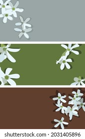 jasmine flower vector, simple but pleasing bagroun design